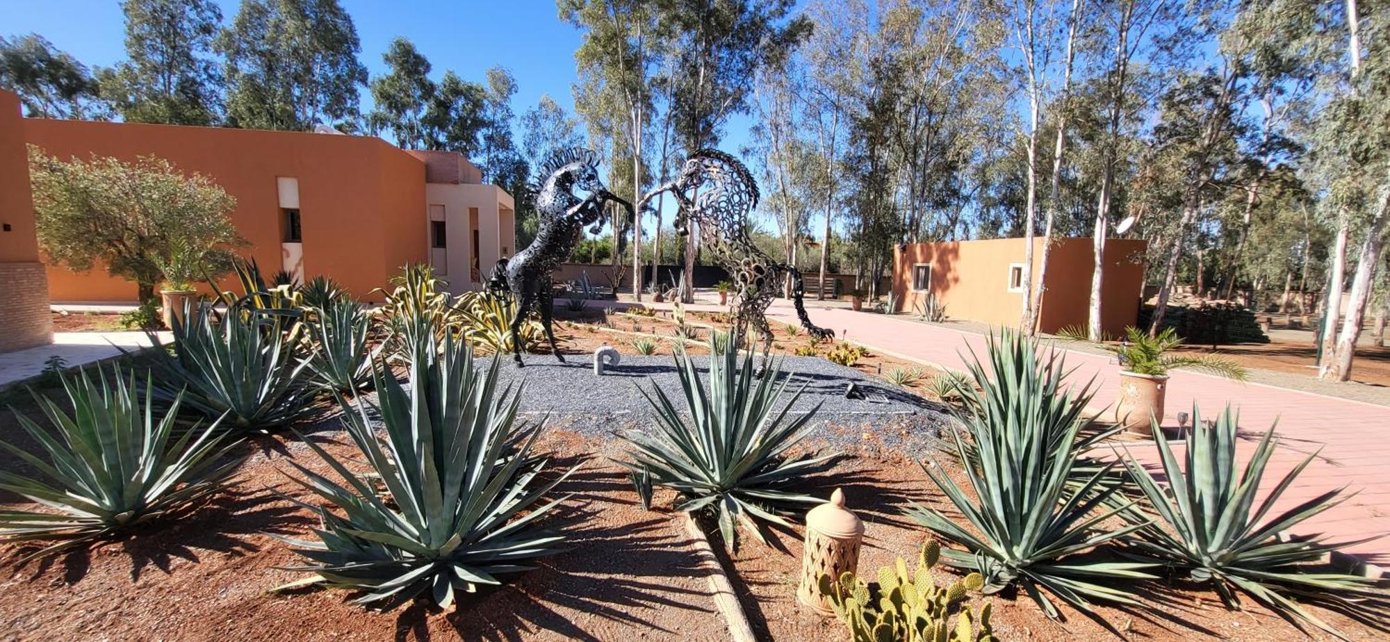 马拉喀什Le Jardin De Jeanne别墅 外观 照片